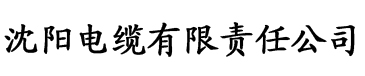 丝袜乱乱最新章节电缆厂logo